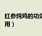 红参炖鸡的功效与做法（红参炖鸡的功效与作用）