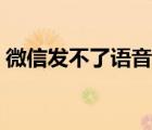 微信发不了语音什么原因（微信发不了图片）