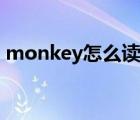 monkey怎么读中文翻译（monkey怎么读）