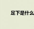 足下是什么意思（足下是什么意思）