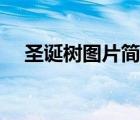 圣诞树图片简笔画（圣诞树图片简笔画）