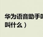 华为语音助手叫什么名字好听（华为语音助手叫什么）