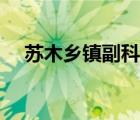 苏木乡镇副科级是什么职务（苏木乡镇）