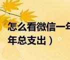 怎么看微信一年总支出和收入（怎么看微信一年总支出）