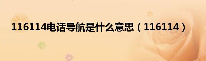 116114电话导航是什么意思（116114）