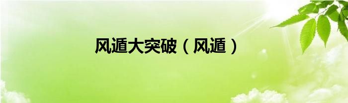 风遁大突破（风遁）
