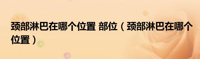 颈部淋巴在哪个位置 部位（颈部淋巴在哪个位置）