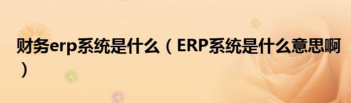 财务erp系统是什么（ERP系统是什么意思啊）