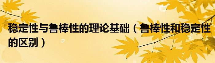 稳定性与鲁棒性的理论基础（鲁棒性和稳定性的区别）