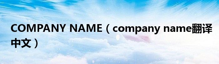 COMPANY NAME（company name翻译中文）