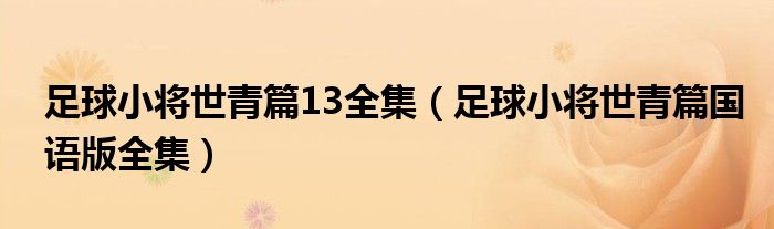 足球小将世青篇13全集（足球小将世青篇国语版全集）