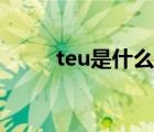 teu是什么意思（teu是什么单位）