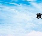 袁家瑜（袁嘉雨）