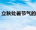 立秋处暑节气的含义是什么意思（立秋处暑）