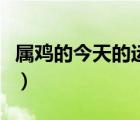 属鸡的今天的运气怎么样（属鸡的今天的运气）