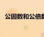公因数和公倍数的意义（公因数和公倍数）