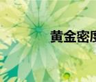 黄金密度检测法（黄金密度）