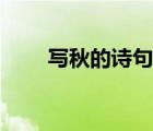 写秋的诗句古诗名句（写秋的诗句）