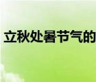 立秋处暑节气的含义是什么意思（立秋处暑）
