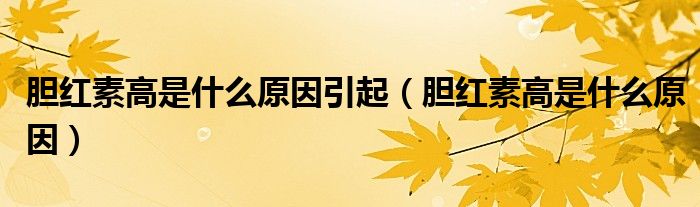 胆红素高是什么原因引起（胆红素高是什么原因）