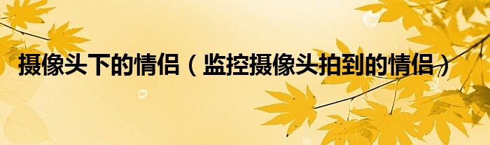 摄像头下的情侣（监控摄像头拍到的情侣）