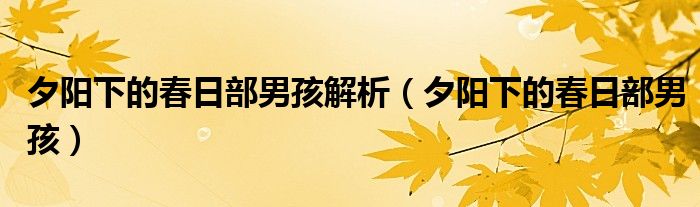 夕阳下的春日部男孩解析（夕阳下的春日部男孩）