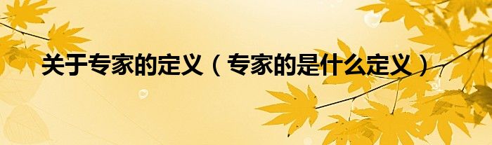 关于专家的定义（专家的是什么定义）
