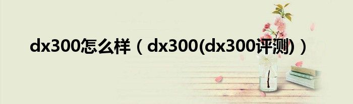 dx300怎么样（dx300(dx300评测)）