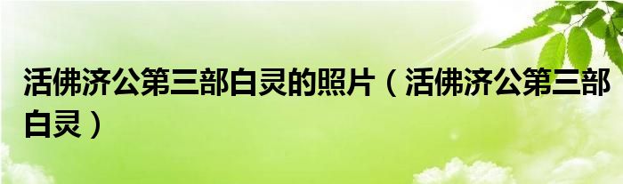 活佛济公第三部白灵的照片（活佛济公第三部白灵）