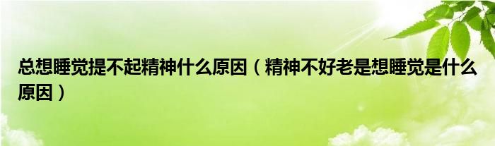 总想睡觉提不起精神什么原因（精神不好老是想睡觉是什么原因）
