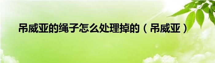 吊威亚的绳子怎么处理掉的（吊威亚）