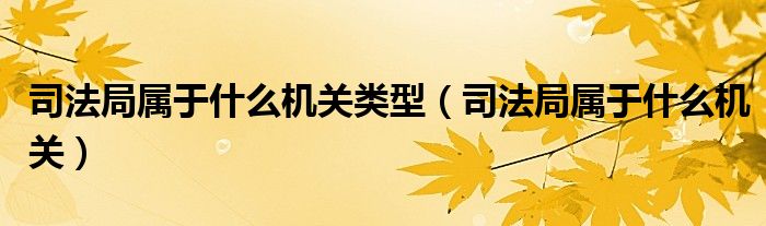 司法局属于什么机关类型（司法局属于什么机关）