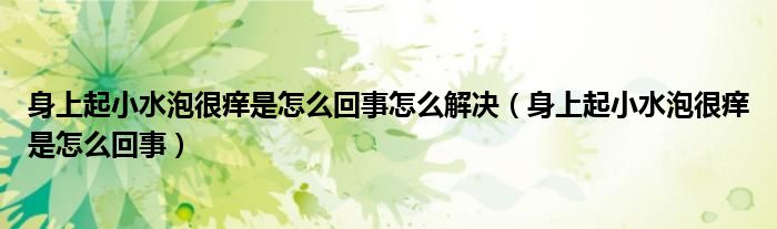 身上起小水泡很痒是怎么回事怎么解决（身上起小水泡很痒是怎么回事）