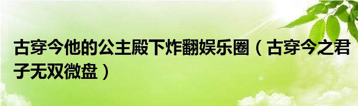 古穿今他的公主殿下炸翻娱乐圈（古穿今之君子无双微盘）