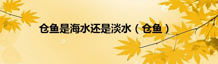 仓鱼是海水还是淡水（仓鱼）