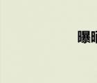 曝晒的意思（曝晒）