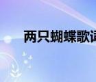 两只蝴蝶歌词完整版（两只蝴蝶歌词）