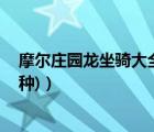 摩尔庄园龙坐骑大全（摩尔庄园所有坐骑龙 (所有   不止10种)）