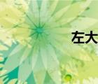 左大建微博（左大建）