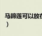 马蹄莲可以放在卧室吗（马蹄莲可以放在卧室）