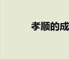 孝顺的成语大全（孝顺的成语）