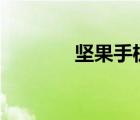 坚果手机评测(坚果（评测)）