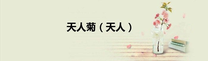 天人菊（天人）