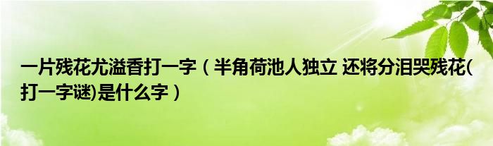 一片残花尤溢香打一字（半角荷池人独立 还将分泪哭残花(打一字谜)是什么字）