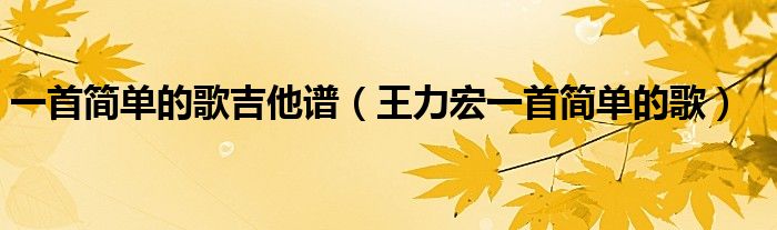 一首简单的歌吉他谱（王力宏一首简单的歌）
