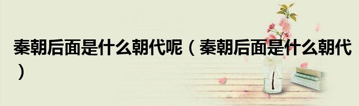 秦朝后面是什么朝代呢（秦朝后面是什么朝代）