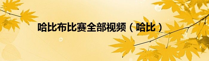 哈比布比赛全部视频（哈比）