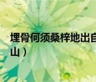 埋骨何须桑梓地出自哪首诗（埋骨何须桑梓地人生无处不青山）