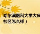 哈尔滨医科大学大庆校区怎么样2019（哈尔滨医科大学大庆校区怎么样）