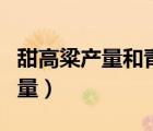 甜高粱产量和青贮玉米哪个产量高（甜高粱产量）